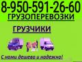 8-950-591-26-60. Грузоперевозки ,газели,'грузчики. Без выходных.