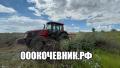 Вырубка, выкорчёвка, переработка в щепу деревьев и корней