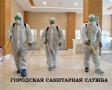 Уничтожение тараканов клопов