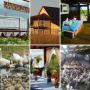 продам коттедж с хоз.постройками- земля в подарок