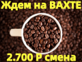 Вахта Упаковщики Кофе Без Опыта с Бесплатным Проживанием Владимирская область Струнино