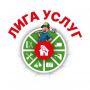 Лига Уcлуг - исполнители для решения любой задачи