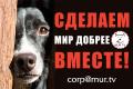 Помощь животным, присоединяйтесь