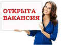 Менеджер по подбору персонала.