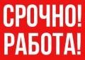 Сотрудники в компанию