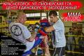 сборы по mma, K-1, Shindokai Triathlon, Kudo