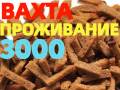 Вахта УПАКОВЩИКИ (ЦЫ) на производство сухариков с БЕСПЛАТНЫМ проживанием