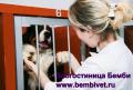 Гостиница для животных.