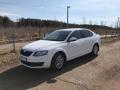Skoda Octavia,отличное состояние!