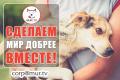Животным помощь