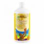 Стимулятор роста Diamond Nectar GHE 1 L