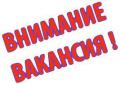 Начинающий специалист (без опыта)