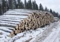 Круглый лес на строительство срубов с доставкой