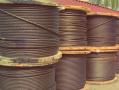 ООО « Техно Сталь» постоянно покупает КАНАТЫ СТАЛЬНЫЕ