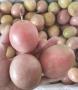 Купить Маракуйю, экзотические фрукты