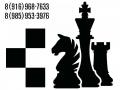 Обучение шахматам и шашкам в Зеленограде.