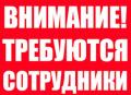 Срочно требуется продавец-консультант в интернет магазин