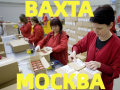 Вахта Стикеровщики + проживание