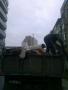 Вывоз мусора, веток