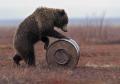 услуги грузчиков круглосуточно РУССКИЙ МЕДВЕДЬ
