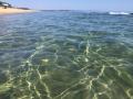 сдам три комнаты на море в Болгарии