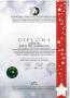 Официальные международные конкурсы и фестивали в странах Западной Европы