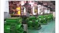 Газопоршневая установка JENBACHER J620