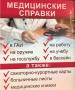 Купить больничный лист и медицинскую справку в Мурманске