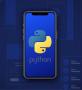 Курс по разработке приложений на языке Python Курс по разработке приложений на языке Python