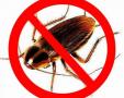 Уничтожение клопов, тараканов и др бытовых насекомых