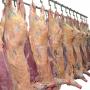 Мясо и мясопродукты - Производство и оптовая торговля